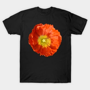 Orange Poppy Flower T-Shirt